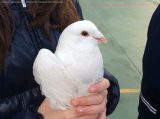 My Gallery (11/31)
